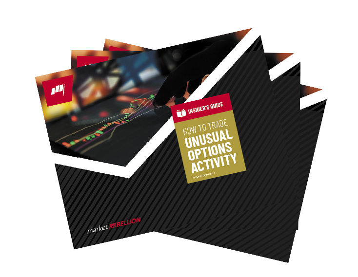 Cover image of UOA Insider's Guide PDF